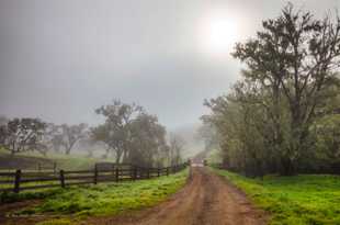 Country road-0490 Country road-0490